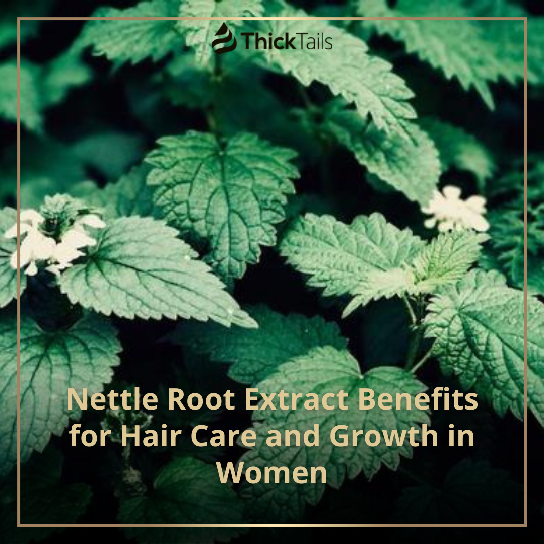 Nettle Root Extract Benefits for Hair Care and Growth in Women | ThickTails