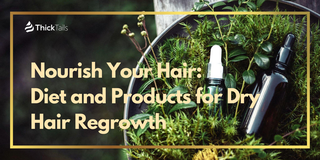 Nourish Your Hair: Diet and Products for Dry Hair Regrowth
