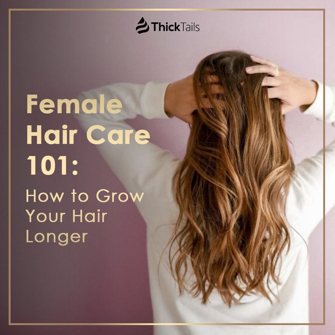 Female Hair Care 101:  How to Grow Your Hair Longer | ThickTails