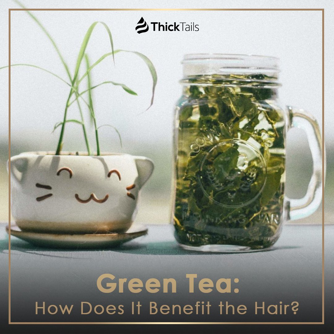 Green Tea: How Does It Benefit the Hair? | ThickTails