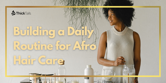 Building a Daily Routine for Afro Hair Care