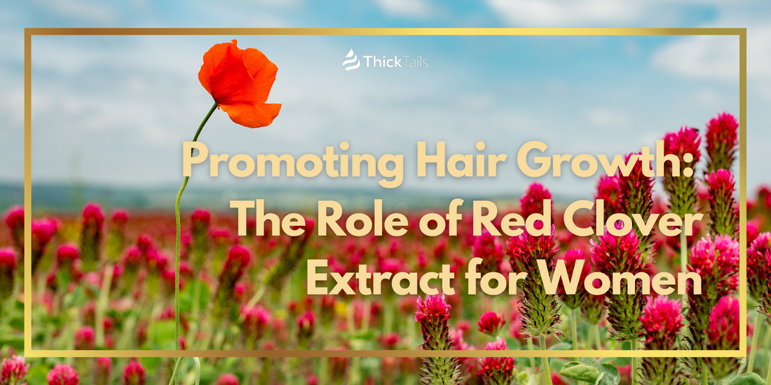 Promoting Hair Growth: The Role of Red Clover Extract for Women