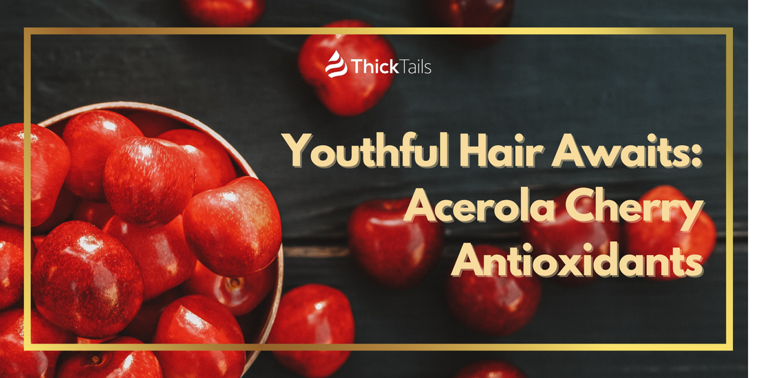 Youthful Hair Awaits: Acerola Cherry Antioxidants