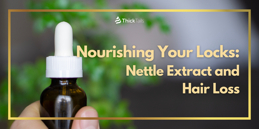 Nettle Extract's role in hair health	