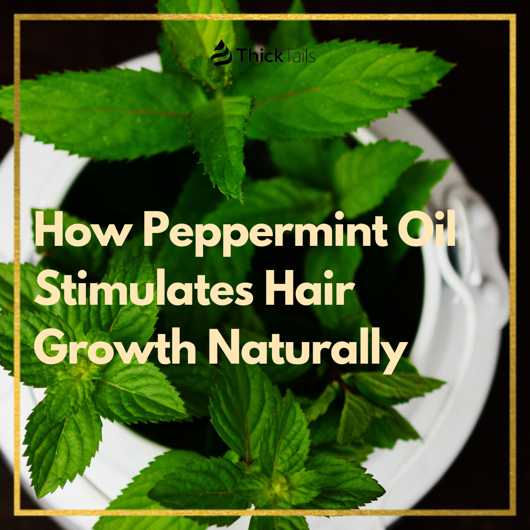 peppermint oil for hair growth	