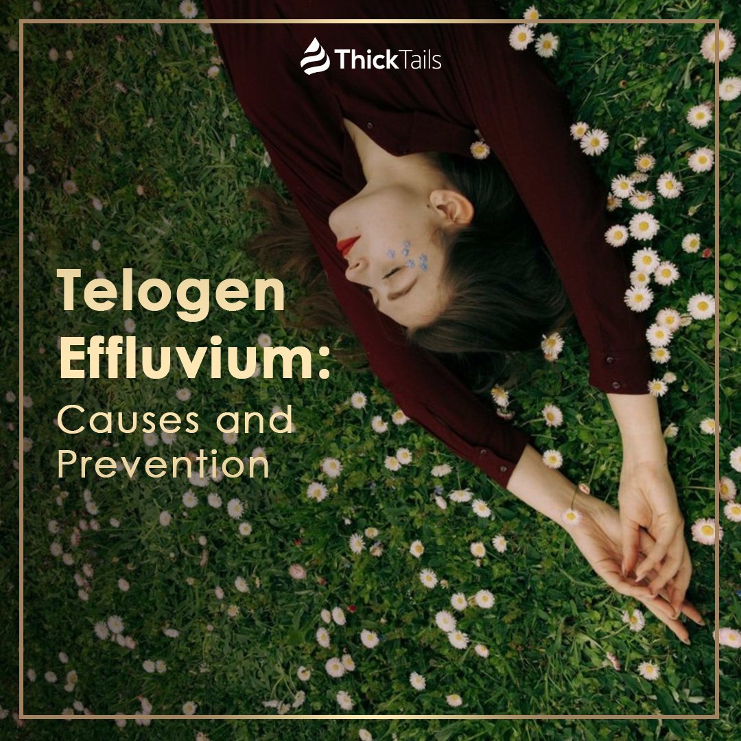Telogen Effluvium: Symptoms, Causes, and Treatment | ThickTails