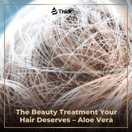 The Beauty Treatment Your Hair Deserves – Aloe Vera | ThickTails