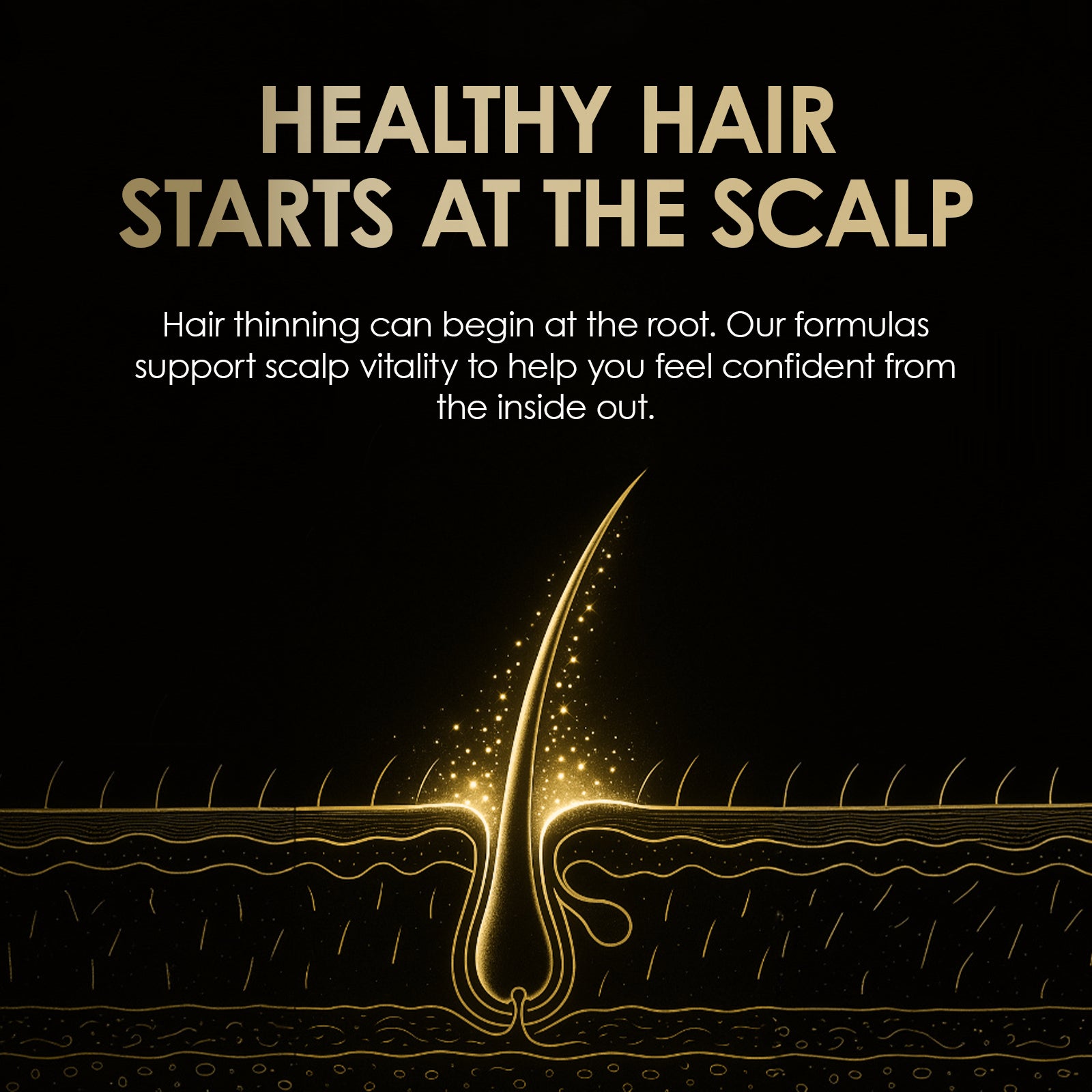 TickTails stimulerende hårvekstsjampo og balsam | Dual Pack